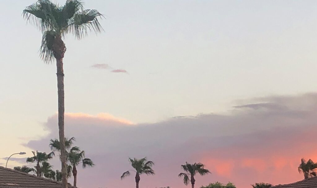 the sky with some dark cloud and pink clouds and palm trees