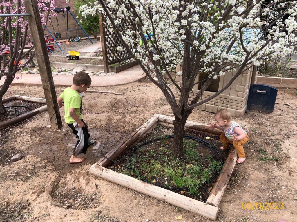 2 children playing in puddles under a tree with white blossoms