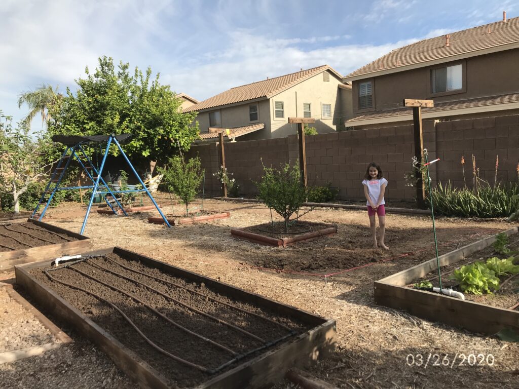 a girl in a yard with garden beds and young trees and a swingset