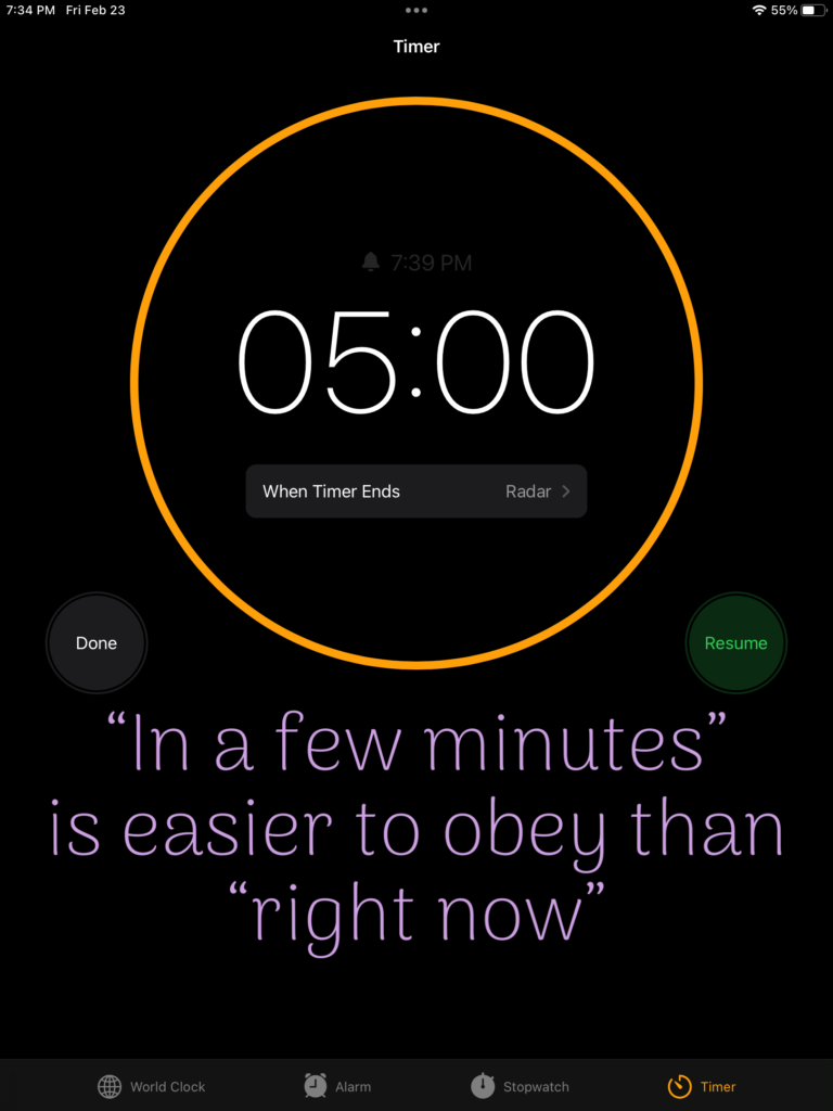 a digital timer for 5 minutes and the words "in a few minutes is easier to obey than right now"