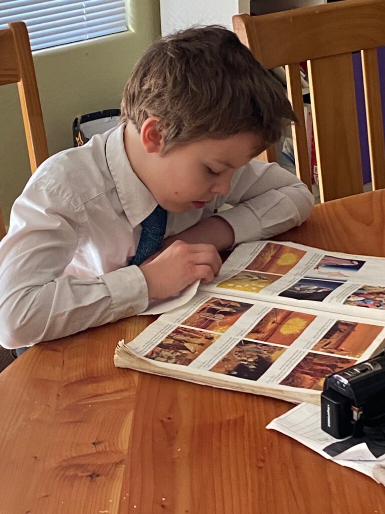 A boy reading a picture book